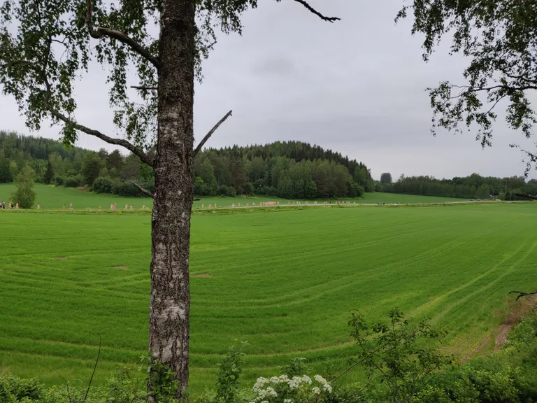 Nakukymppi 2019.