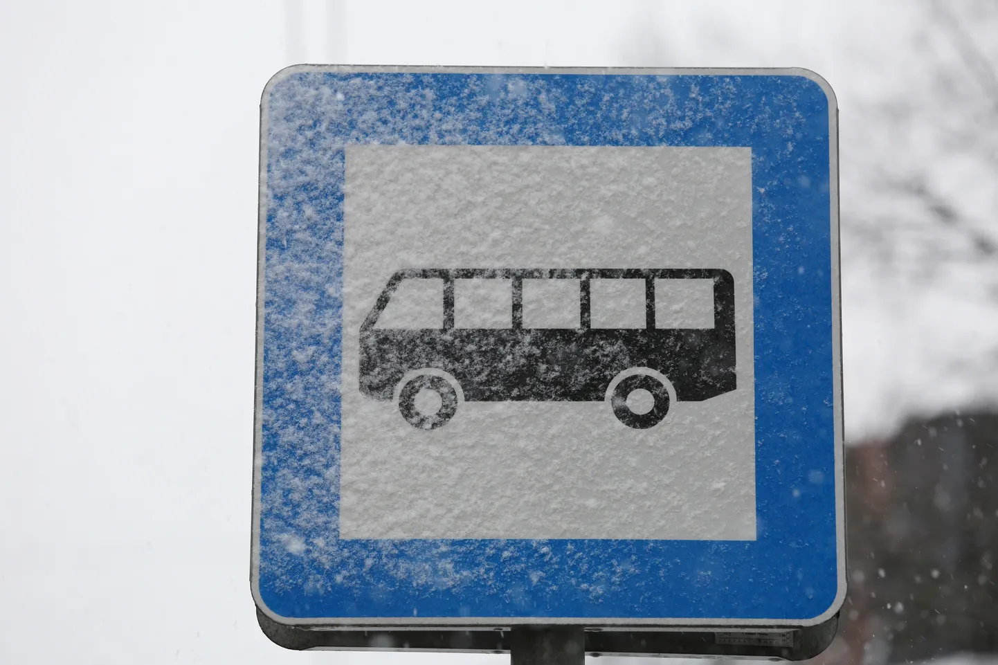 Ceļa zīme - ''Autobusa un trolejbusa pietura''.