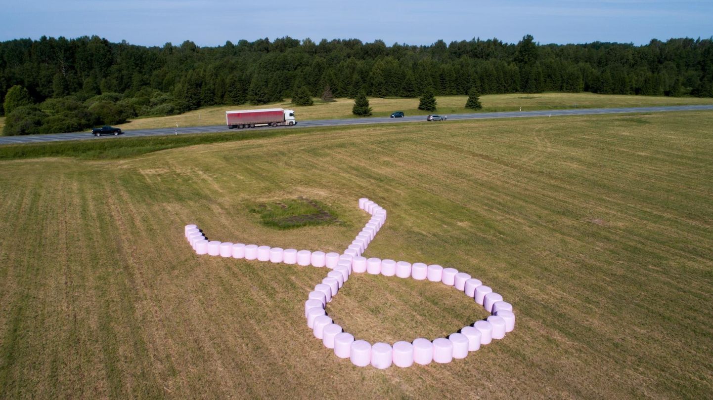 Rinnavähi ülemaailmne sümbol roosa lint Viljandi lähistel.