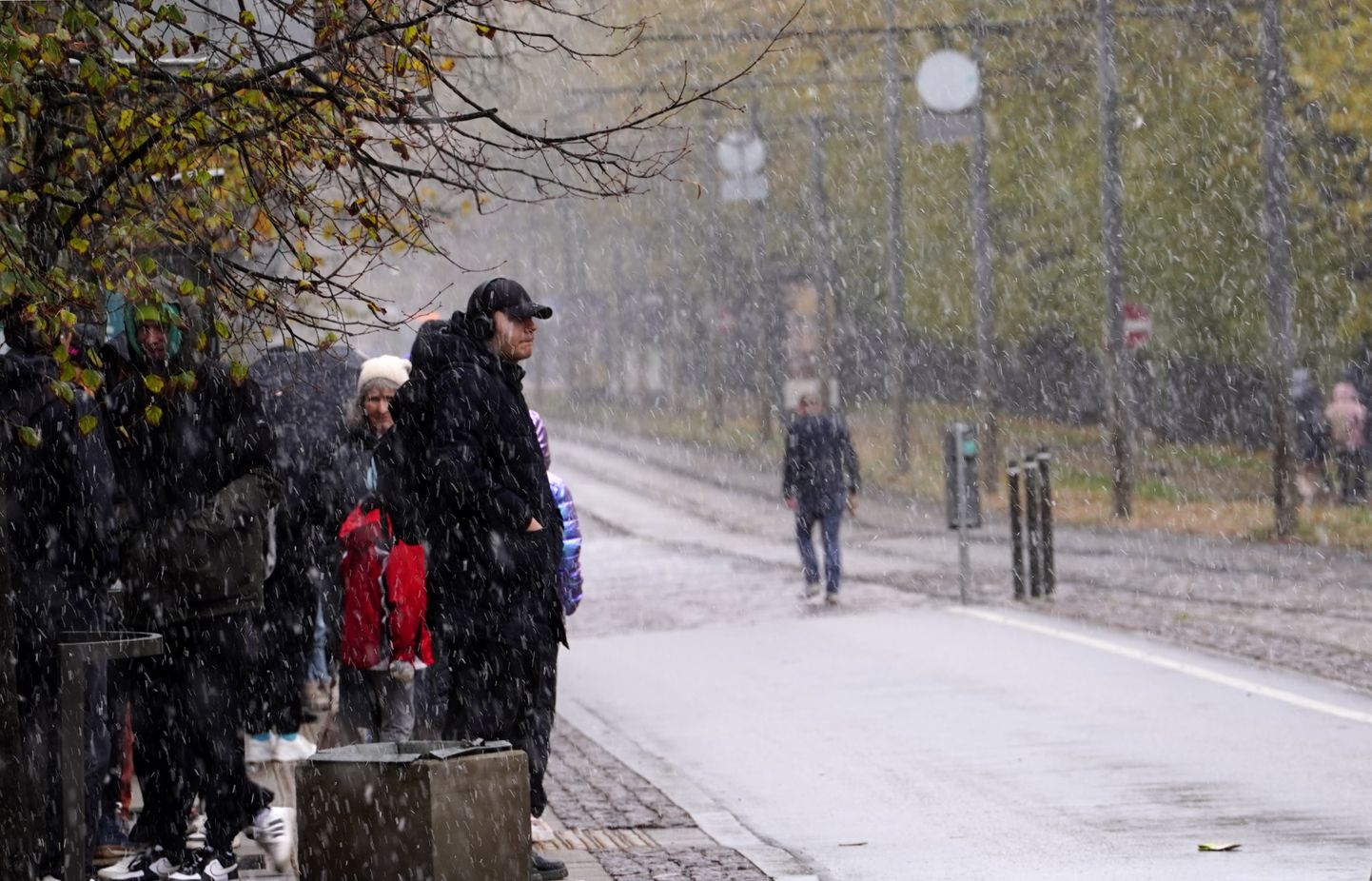 Lietus un slapjš sniegs Rīgas centrā.