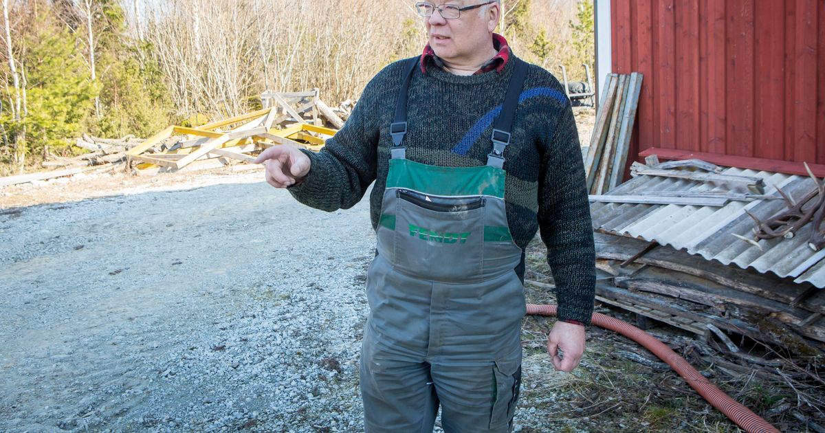 Kaido Kirst saavutas Inglismaa viljelusvõistlusel kolmanda koha