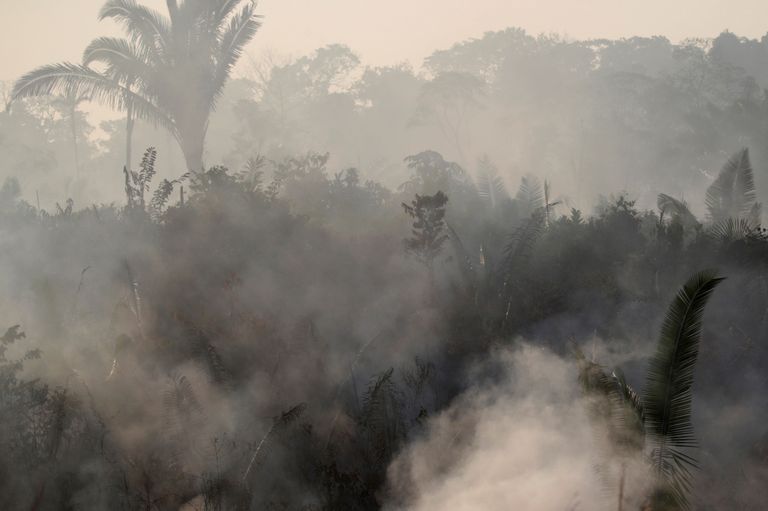 Põleng Brasiilias Amazonase osariigis Humaita lähedases vihmametsas
