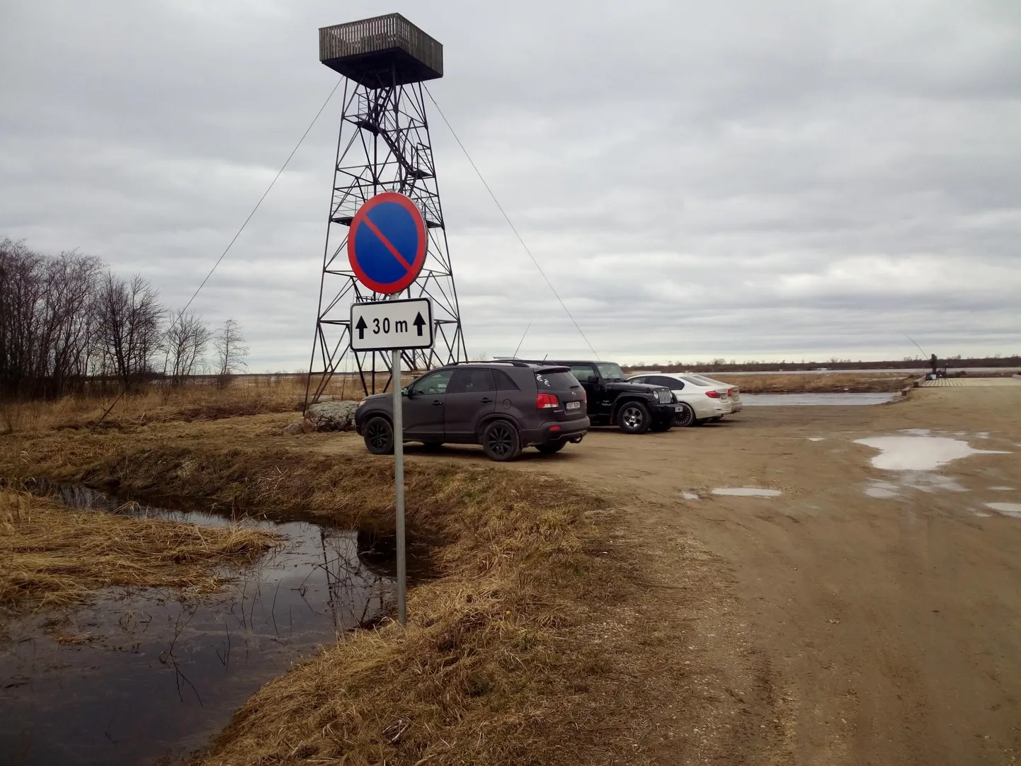 Häirimise tagajärjel võivad linnud maha jätta oma pesa või pojad, kes seejärel hukkuvad.