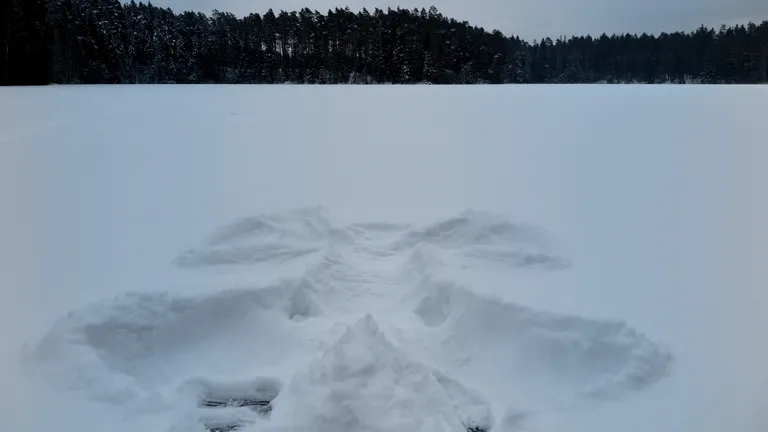 Puhtale lumevaibale maandus ingel.