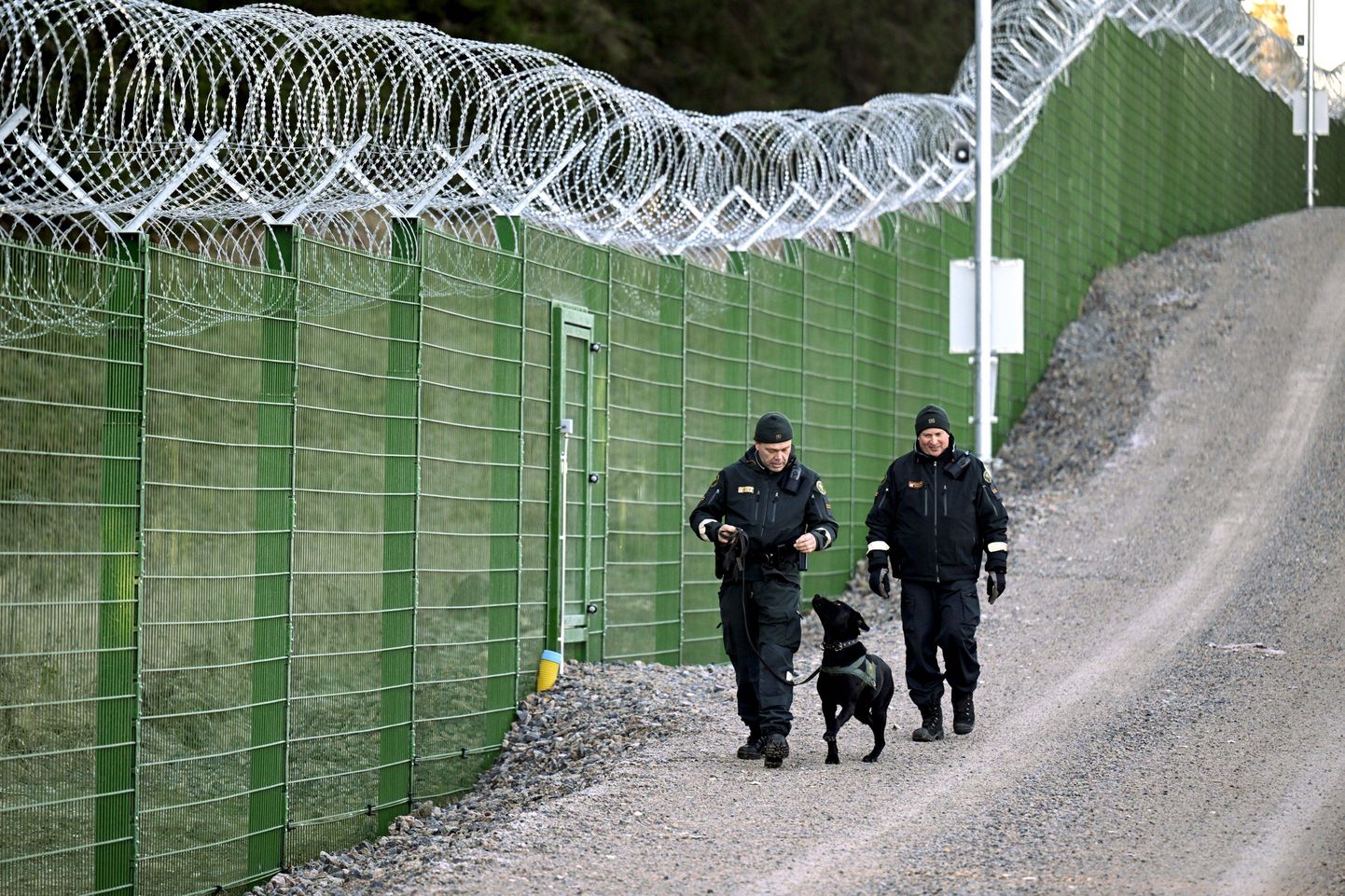 Пограничники и пограничная собака во время медиа-мероприятия Пограничной службы Финляндии RAJA на финско-российской границе в Иматре, Финляндия, 26 октября 2023 года.