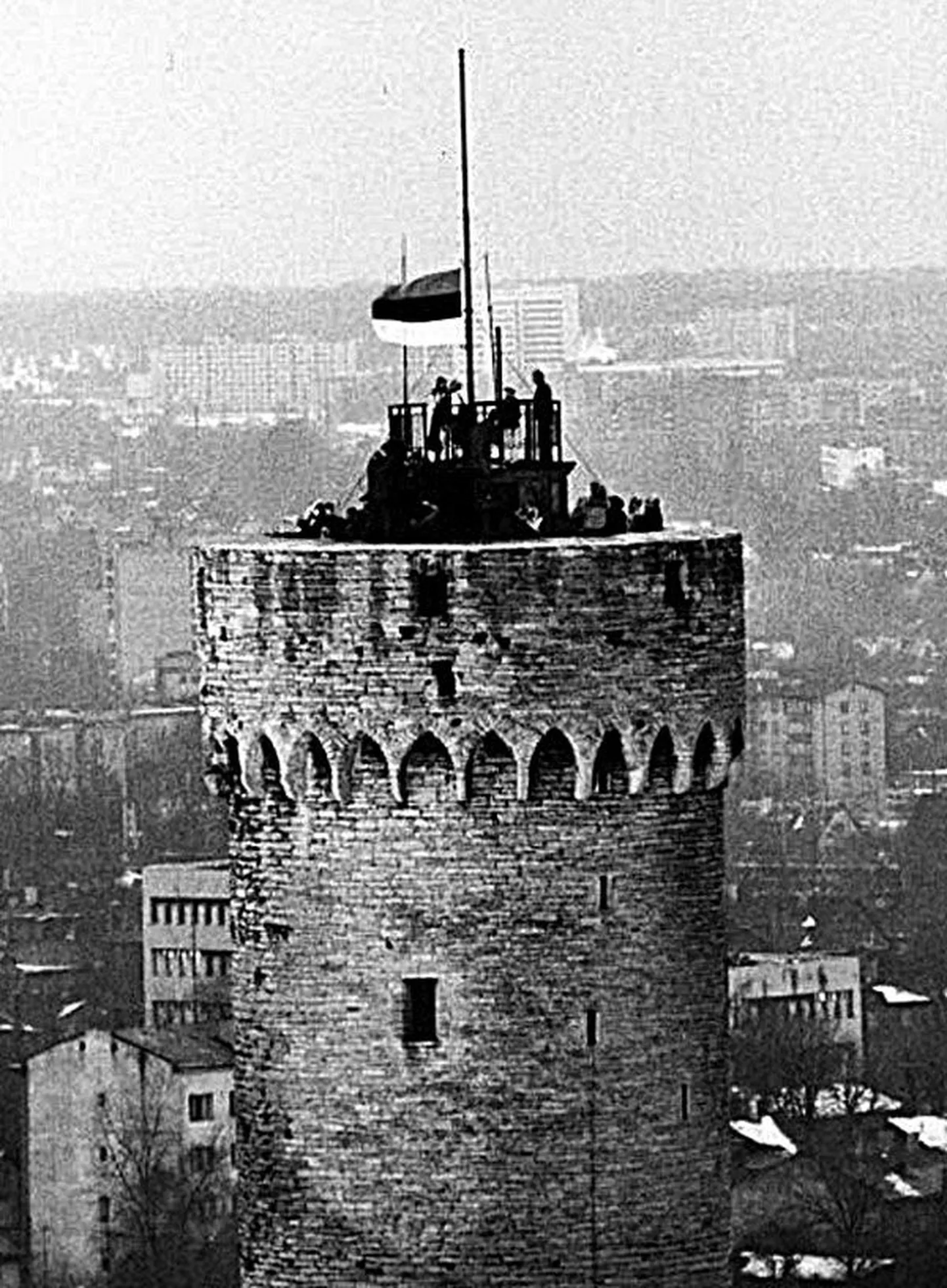 Artikli foto
