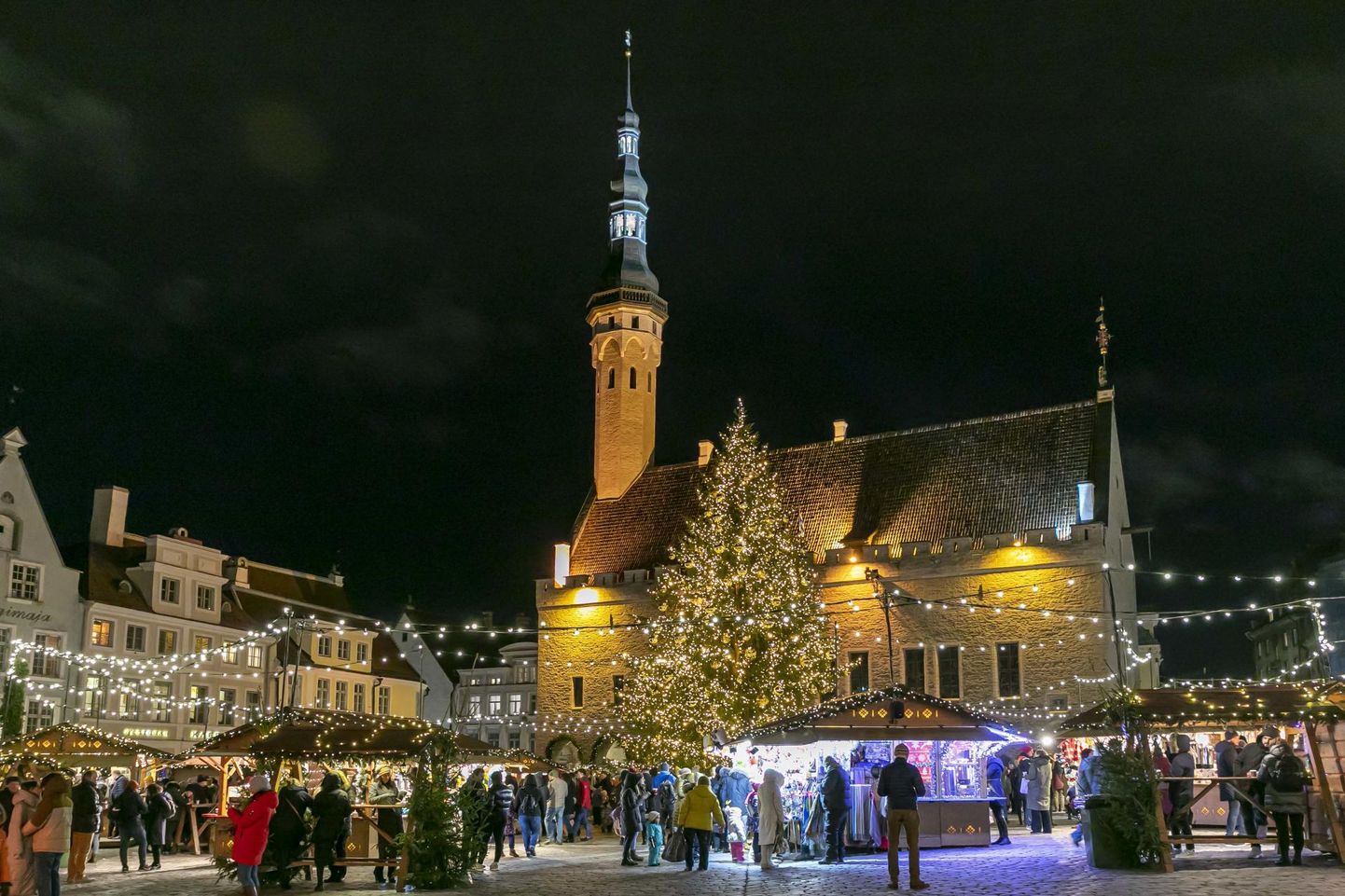 Таллиннская рождественская елка на ратушной площади.