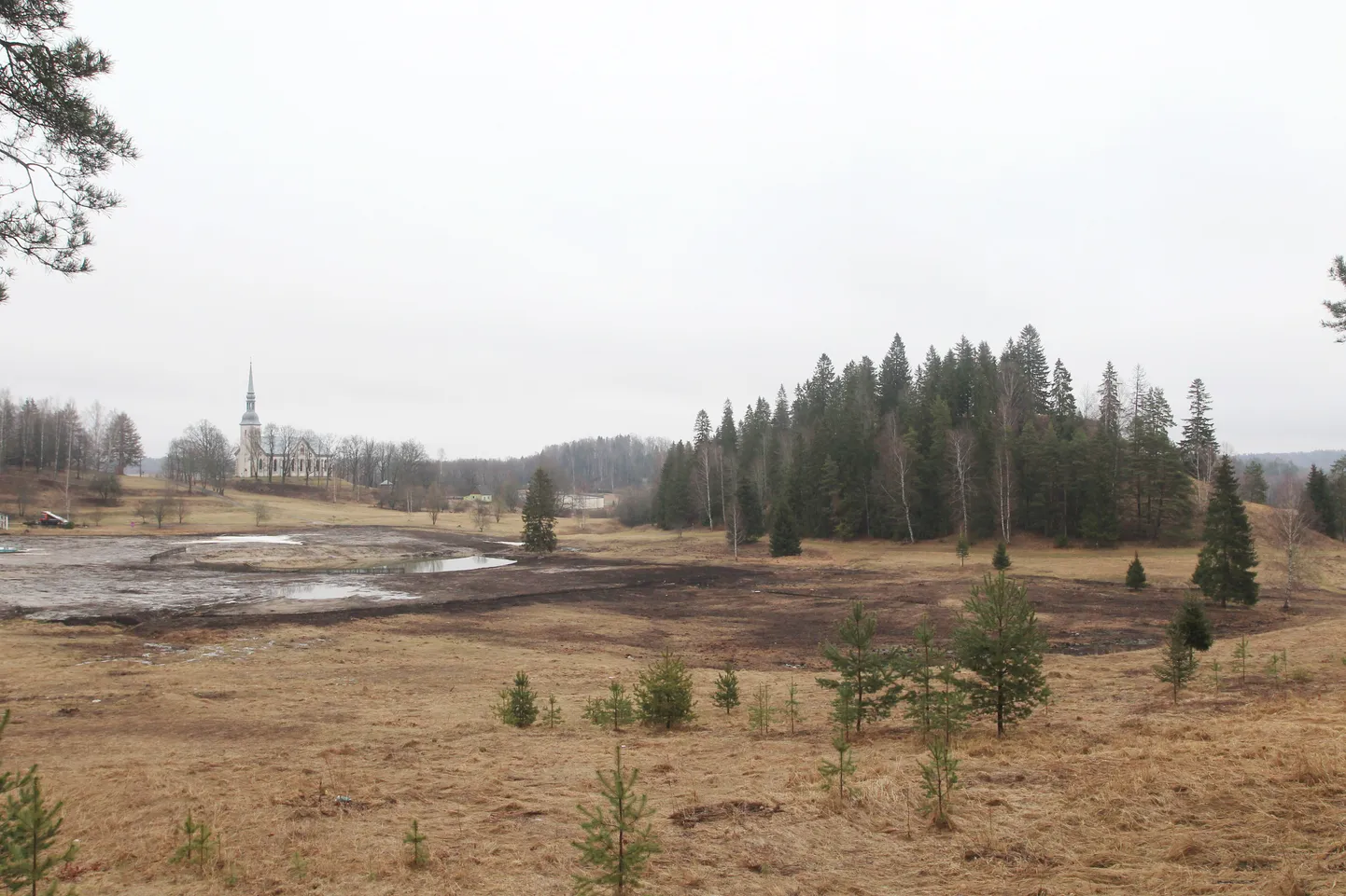 TRT02: OTEPÄÄ LINNAMÄGI : TARTU, EESTI, 02APR15 -  
Pildil Otepää linnamägi.
kt/Foto KRISTJAN TEEDEMA