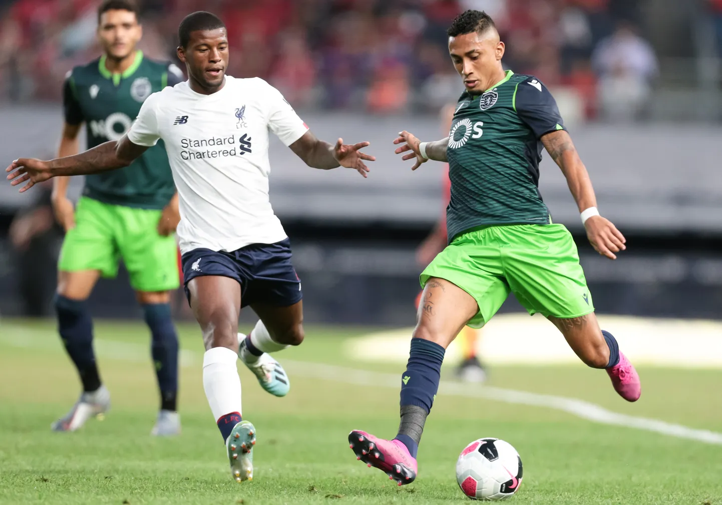 Georginio Wijnaldum ja Raphana Belloli