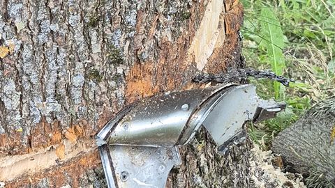 RAIETÖÖD TÜRI MOODI ⟩ Isehakanud arboristi töö jäi pooleli