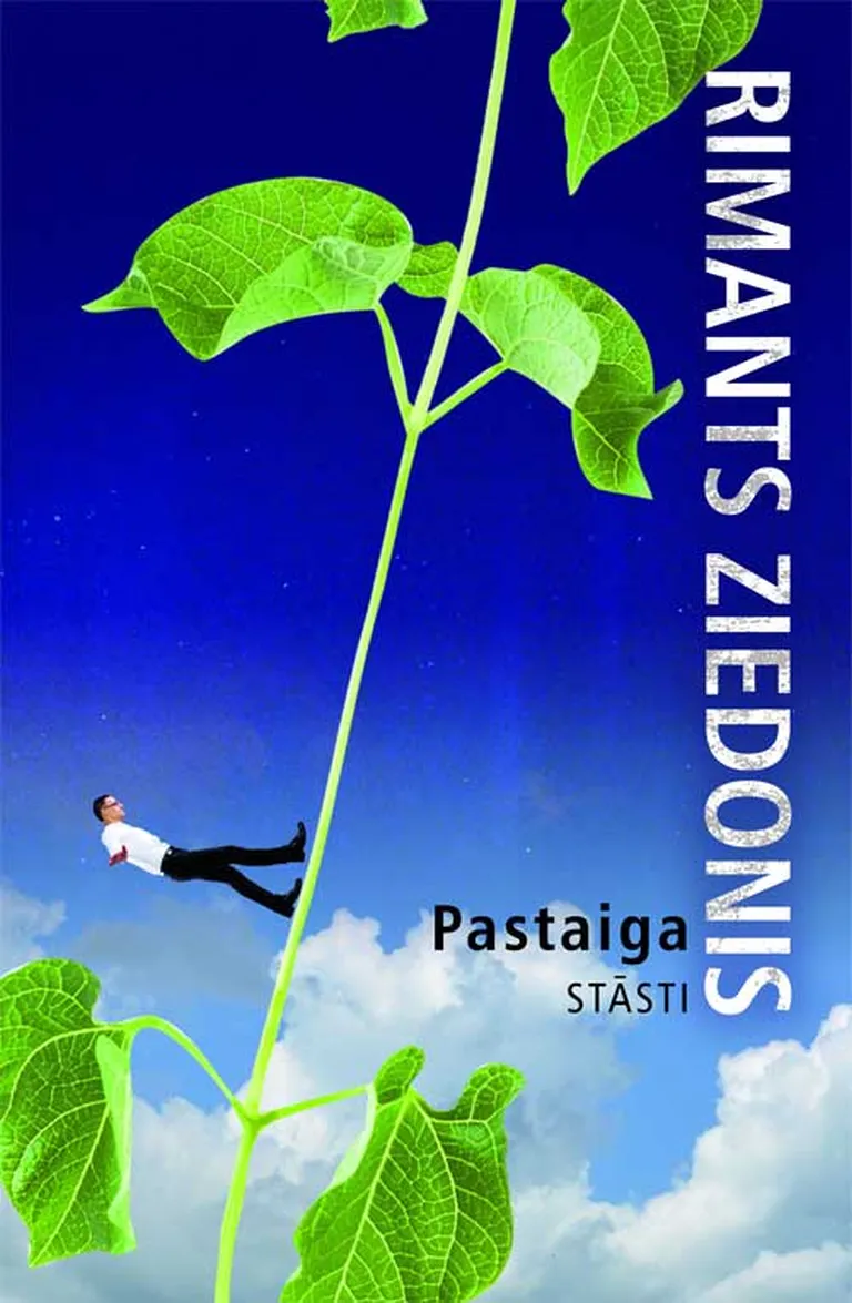Raksta foto