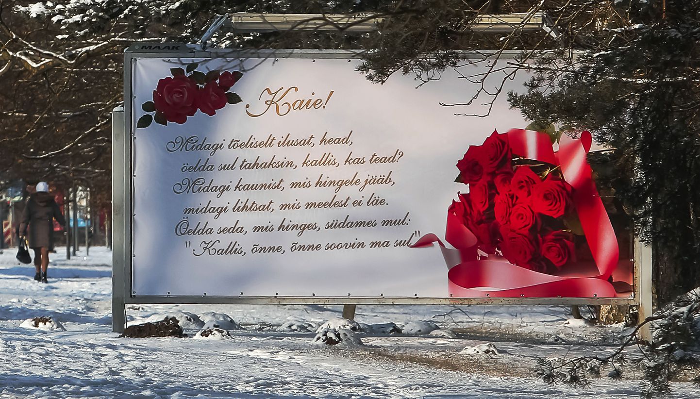 Reede õhtul kerkis Pärnus Papiniidus Riia maantee äärde suur Kaiet õnnitlev plakat.