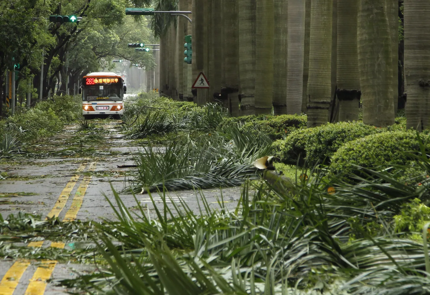 Taifuun Soulik jõudis Taiwanile ning murdis oma teel puid ja häiris infrastruktuuri.