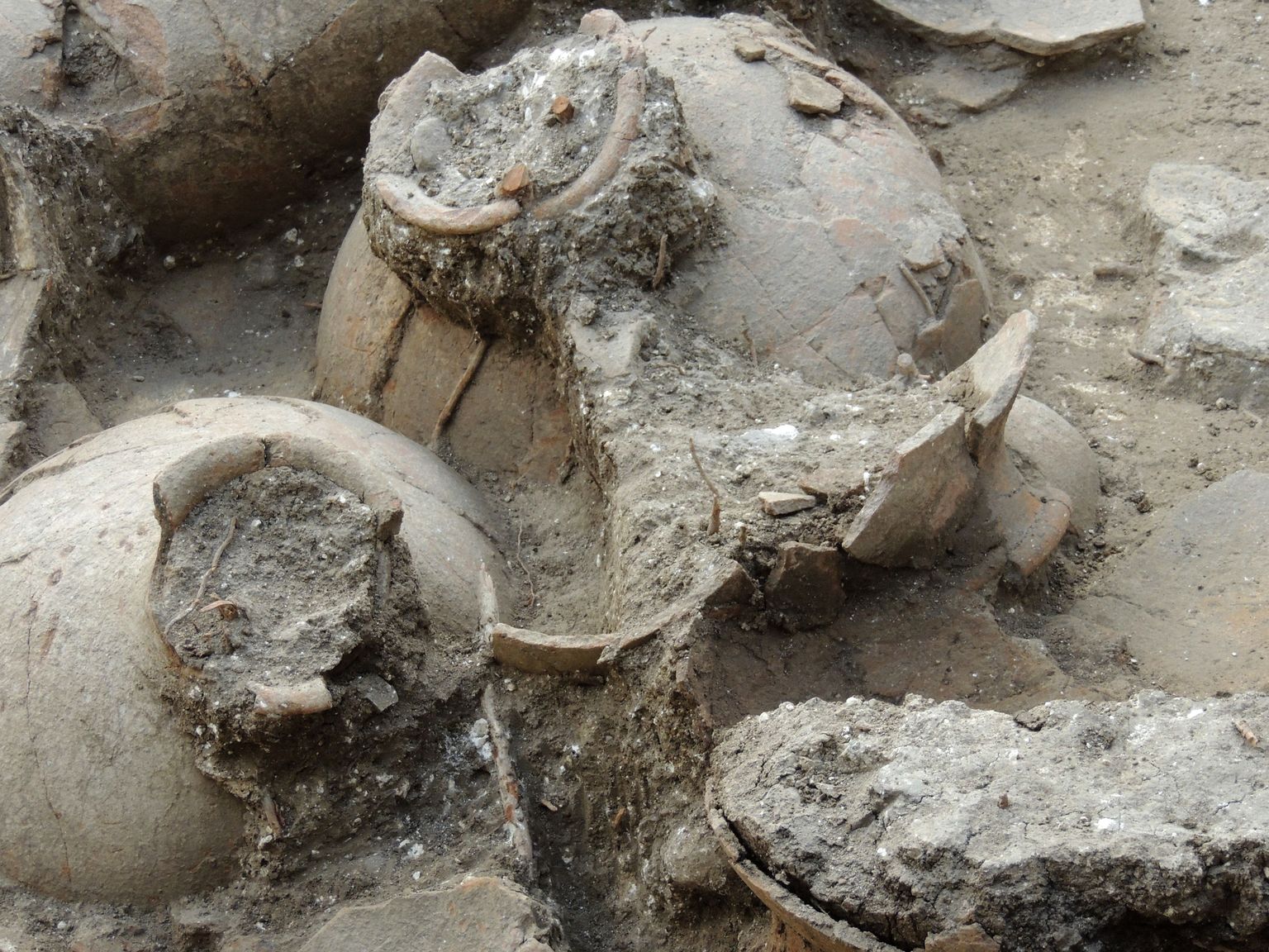 Põhja-Iisraelist leitud 3700-aastased veinianumad