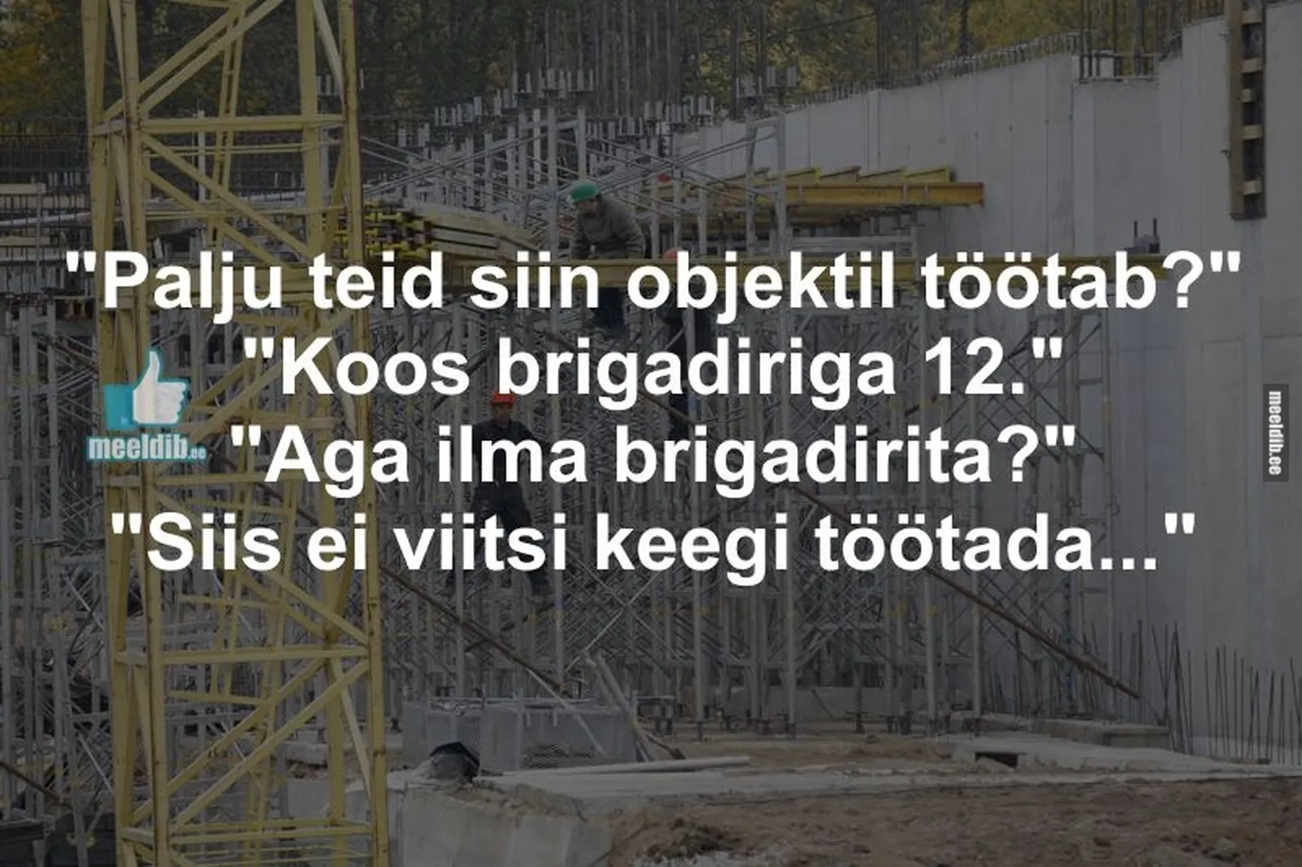 Artikli foto