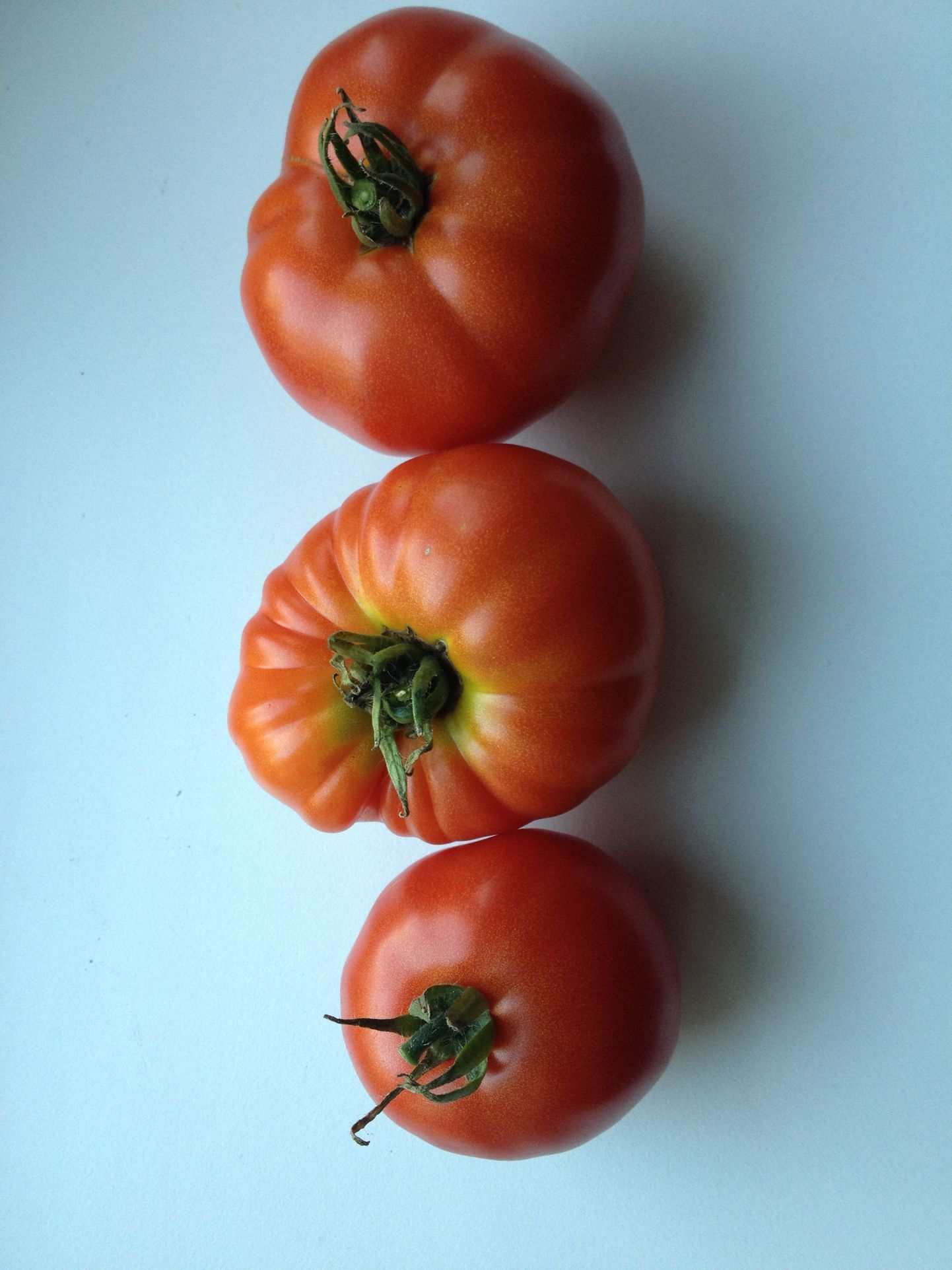 Pererahva lemmikuks osutus (vasakult) tomatisort «Malle», «Marmandet» ja «Moneymakerit» enam istutada ei plaanita.