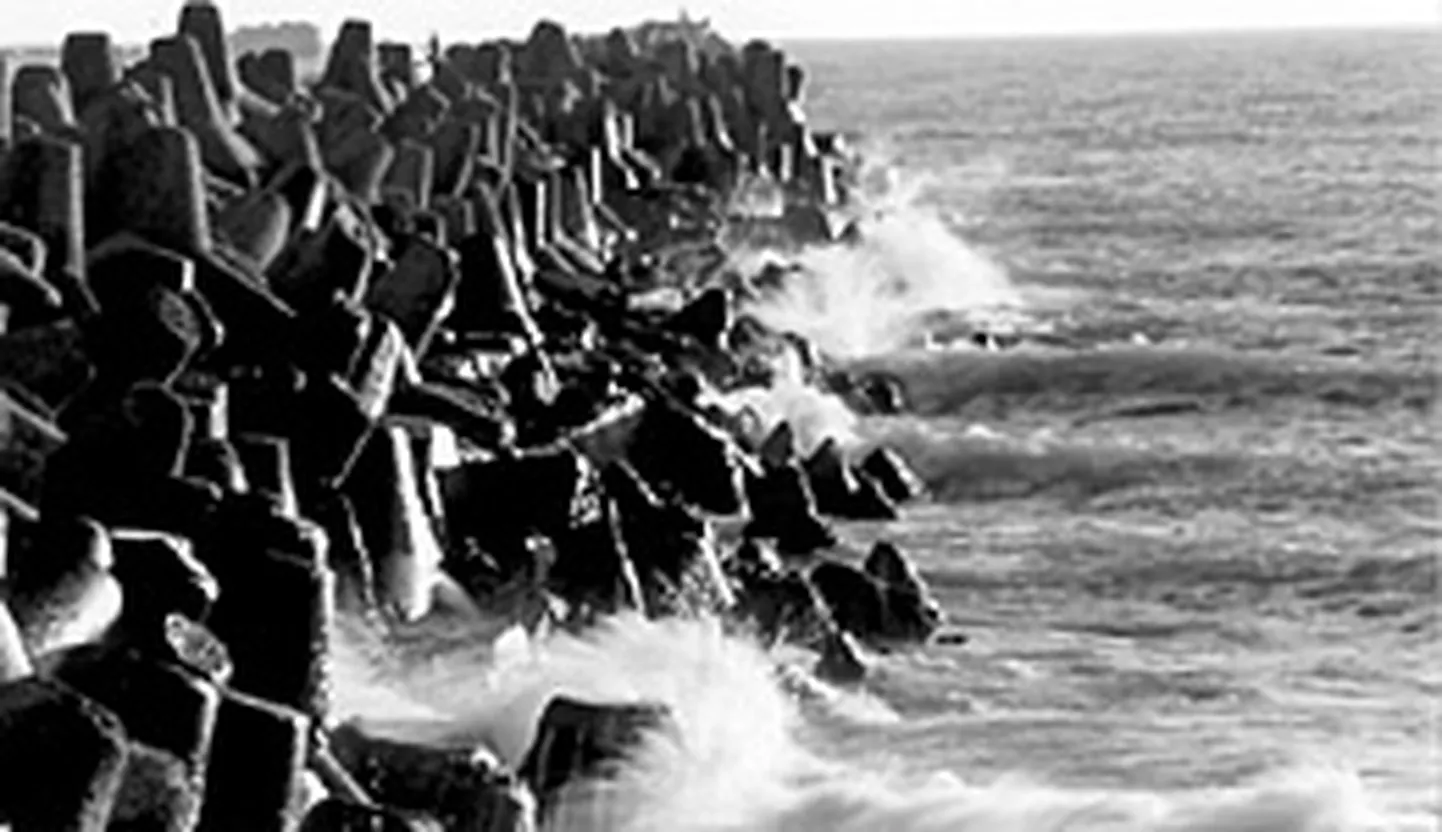 Raksta foto