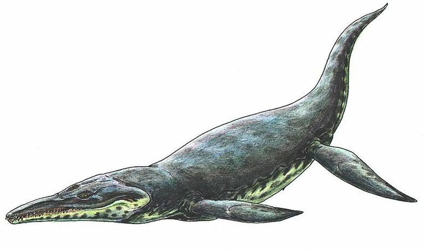 Juuraajastu ookeanis olid kiskjateks Pliosaurus funkei sarnased loomad