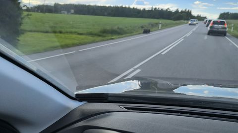 VIDEO ⟩ Taevaskojast tulles jäi videole neli karupoega – võimalikud emata mõmmikud tekitasid elevust ja muret