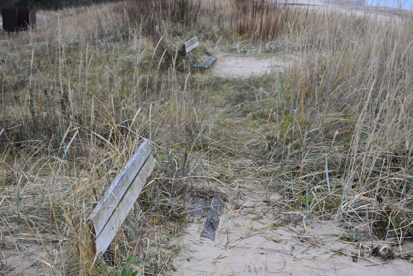 Сейчас скамейки на берегу в Лиймала имеют печальный вид.
