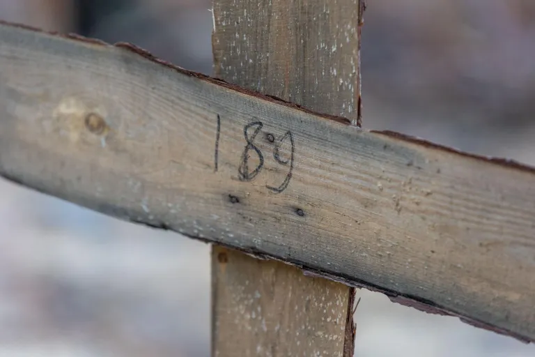 Iga hauda tähistab puust rist, lihtsalt numbriga rist.