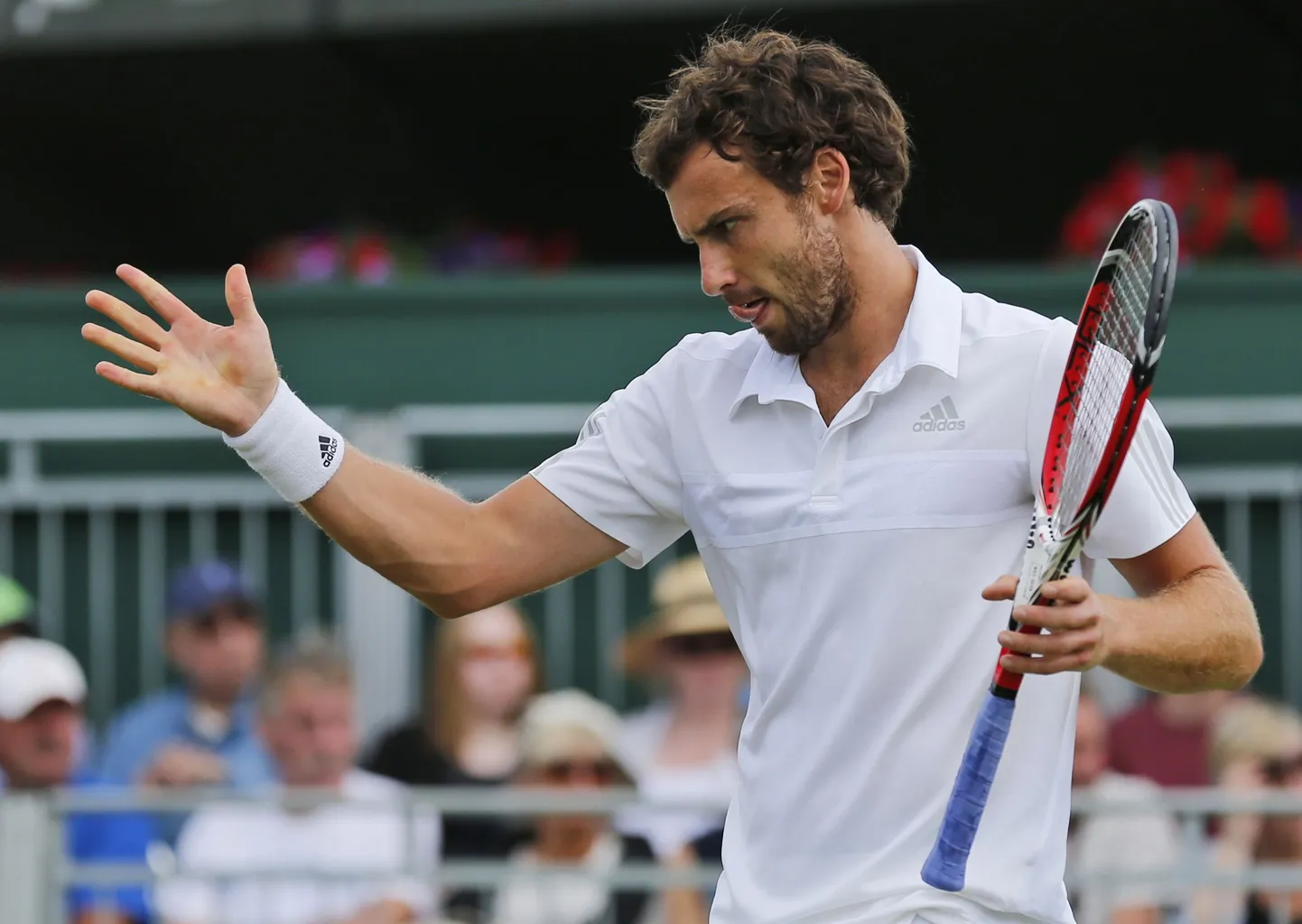 Ernests Gulbis.