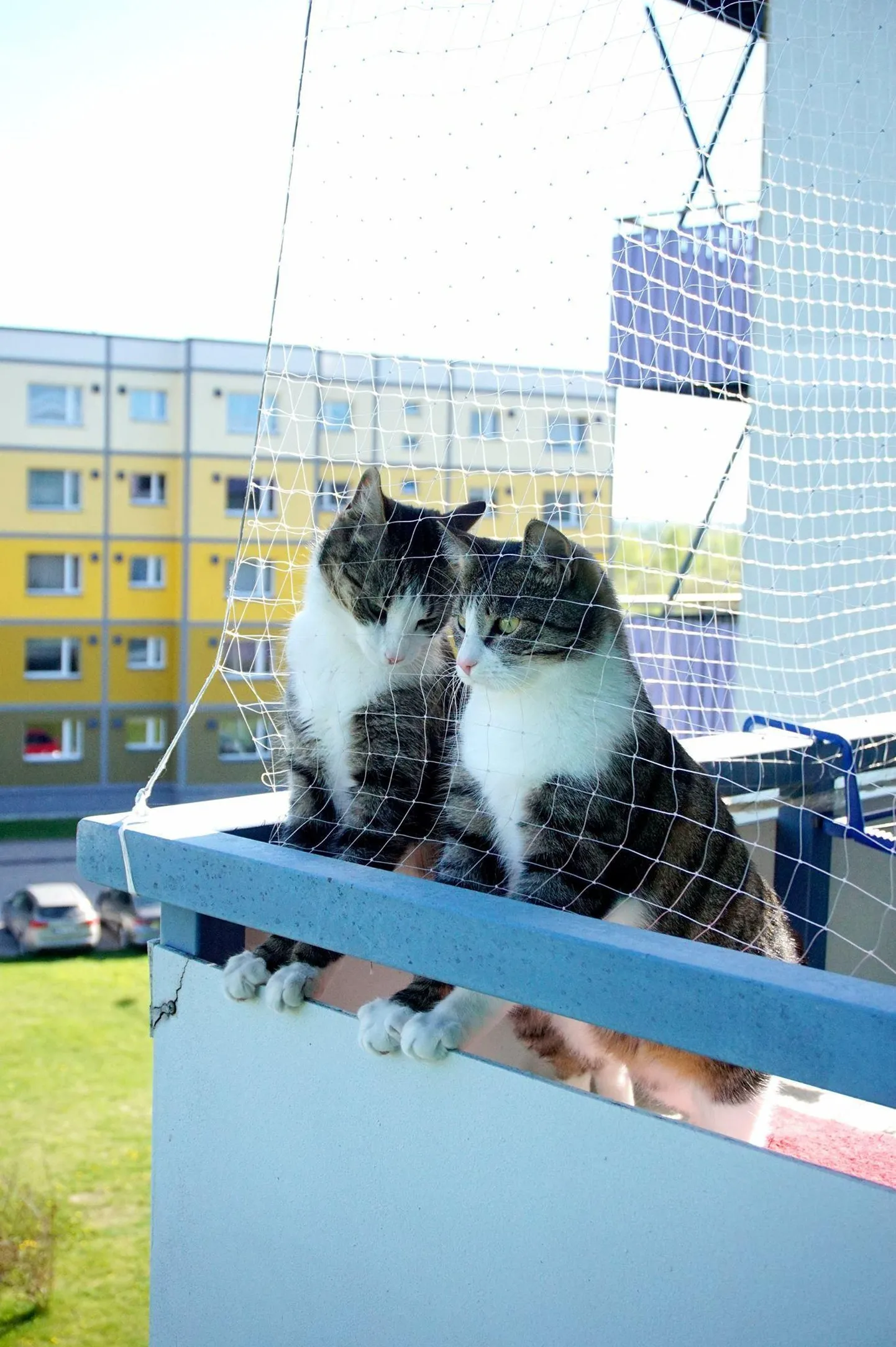 Ilmateenistuse prognoosi järgi tuleb teisipäeval kuni 22 kraadi sooja.