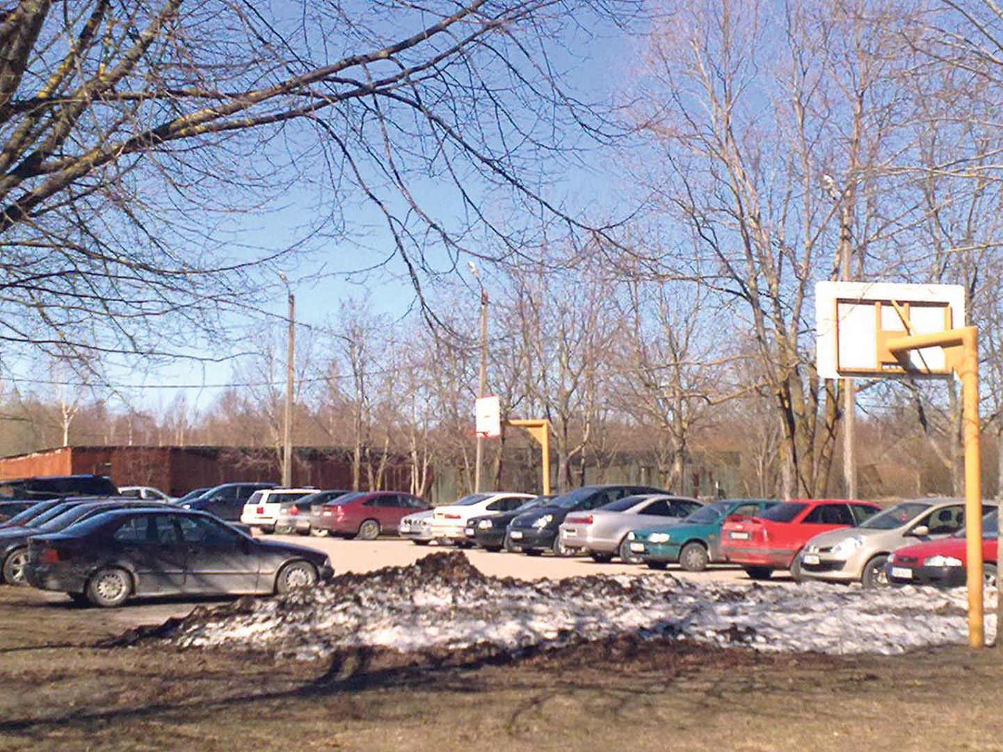 Osa Vana-Saugas asuvast asfaltplatsist võib edaspidigi parklana kasutada, teine osa jääb korvpalli päralt.