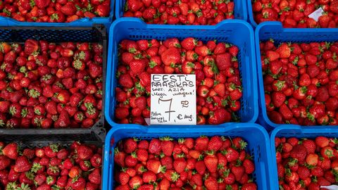 REPORTAAŽ ⟩ Lookas müügileti ees eelistatakse ikka kodumaist maasikat