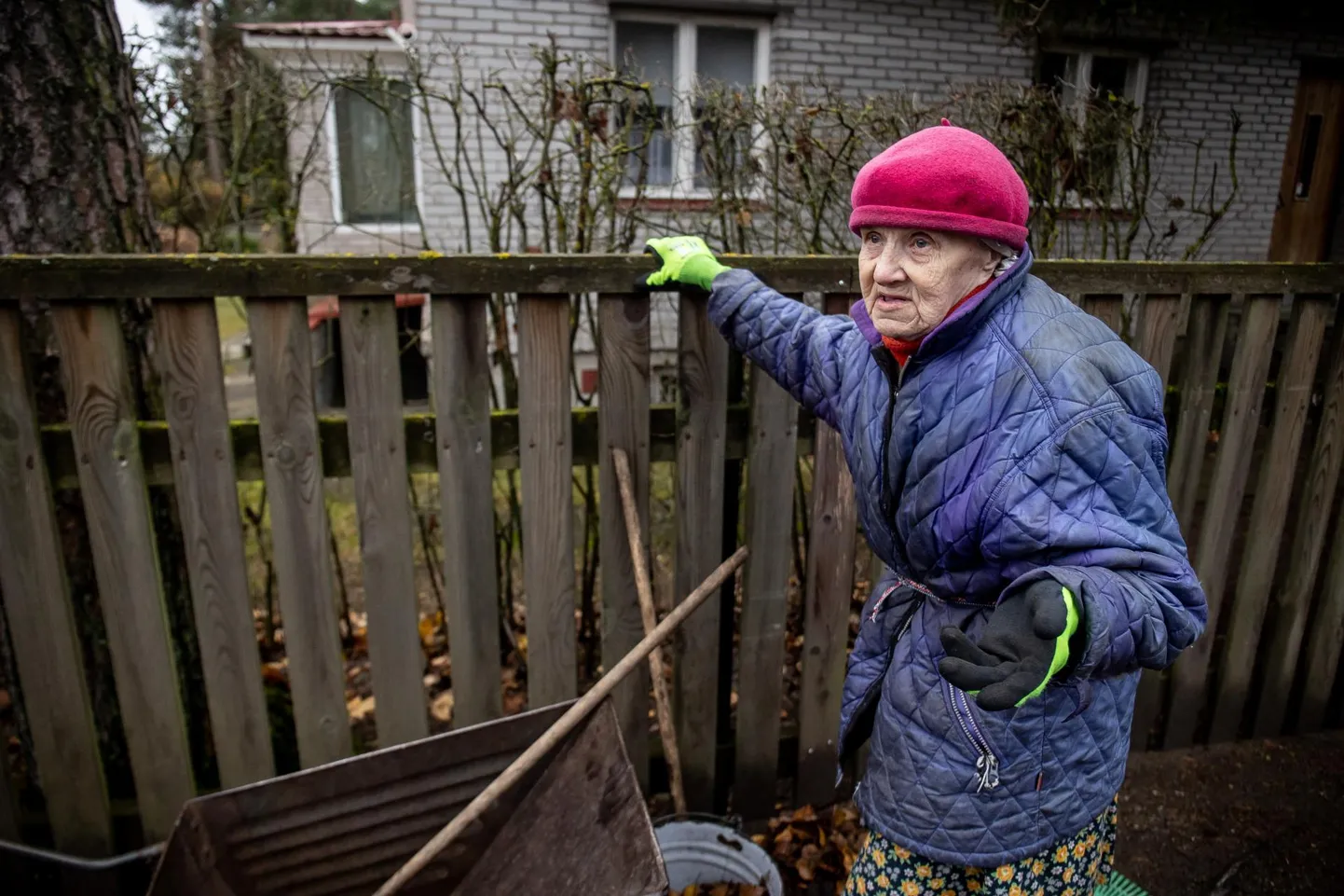 94-aastane Silvia Schmitt oma aia ääres Tallinnas Nõmmel. Kuna tema krunt jääb alla 1500 ruutmeetri, on ta sellest kohustusest vaba. «Kui peaksin oma pensionist seda tasuma, siis ei jääkski mul elamiseks mingit raha.»
