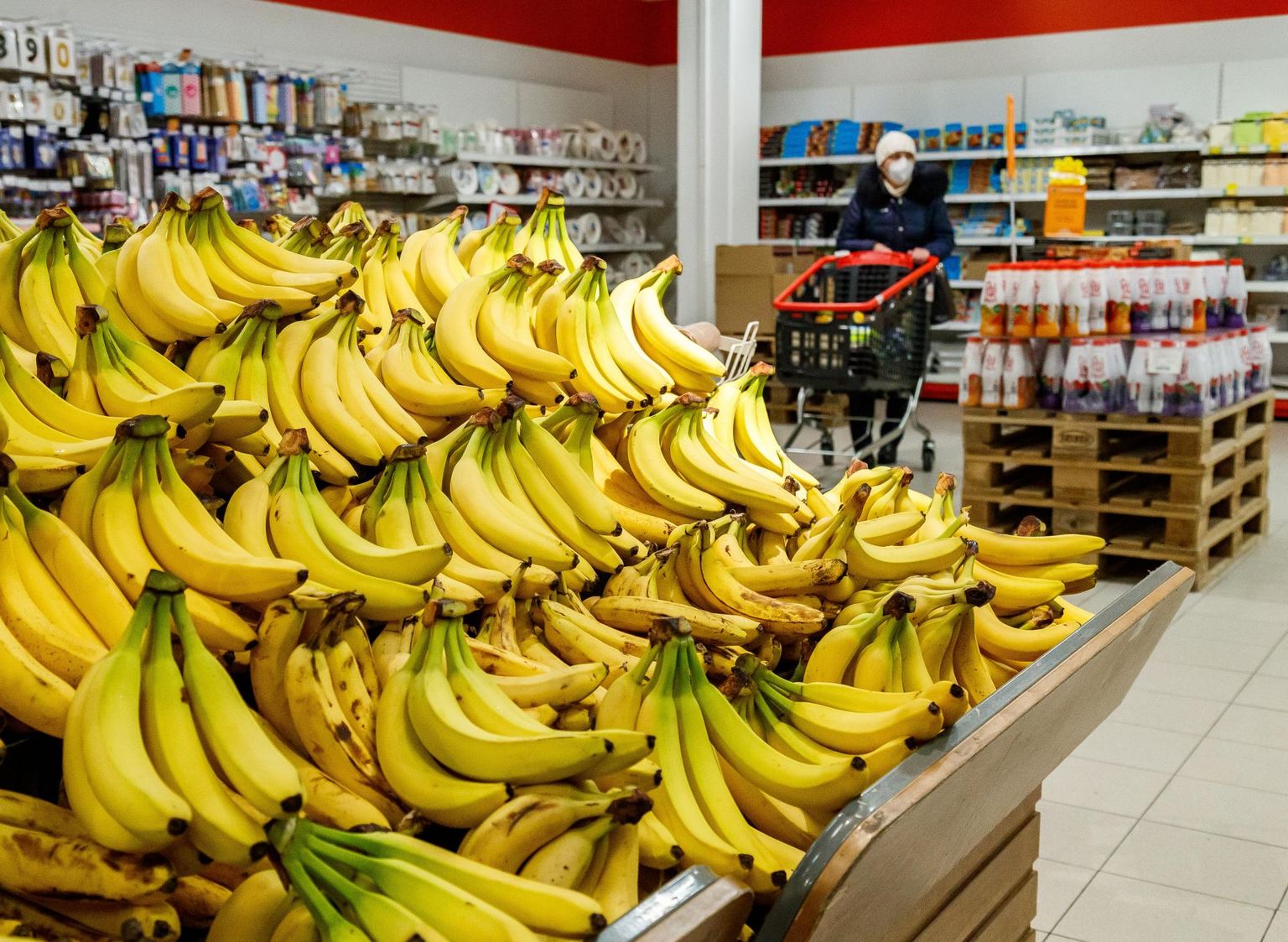Banaan on tänapäeval kättesaadav kõigile. Nõukogude ajal müüdi banaane Rakvere turul hinnaga 2 rubla tükk, pensioni eest sai osta 40 banaani.