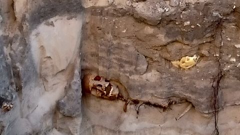 ФОТО ⟩ При земляных работах в Таллинне обнаружили человеческие останки