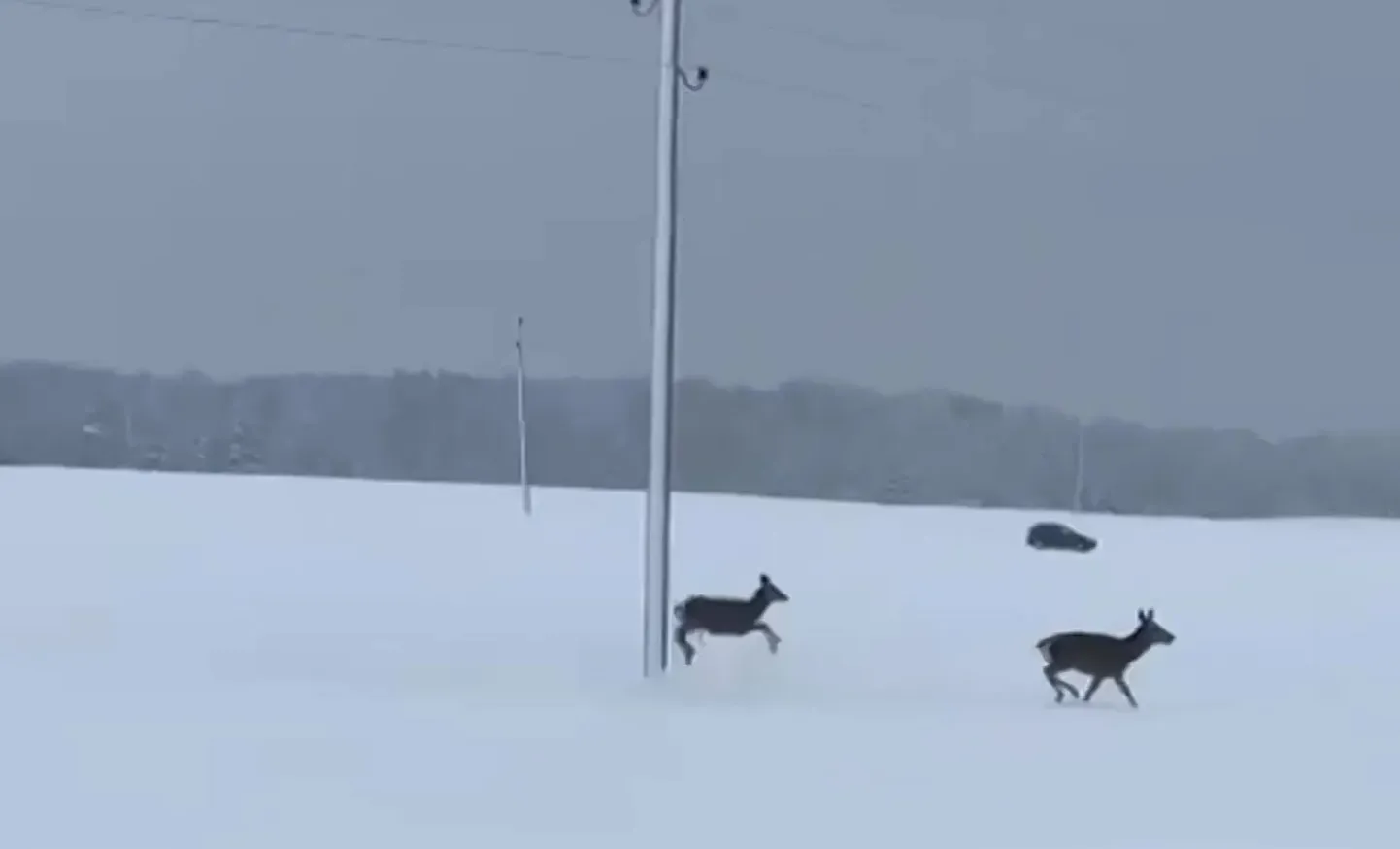 Кадр из видео