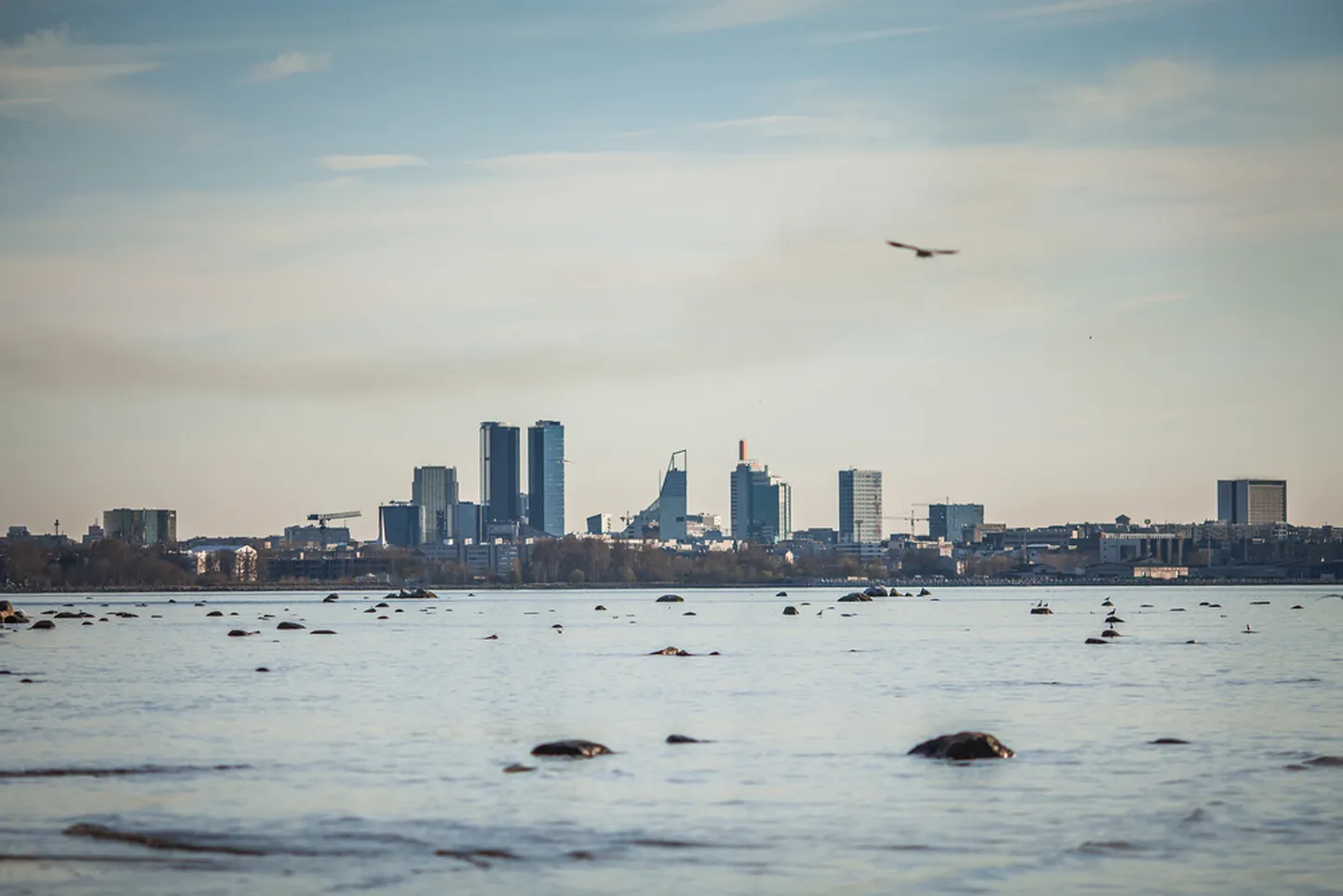 Tallinna korterite mediaanhind kombib 3000 euro piire.
