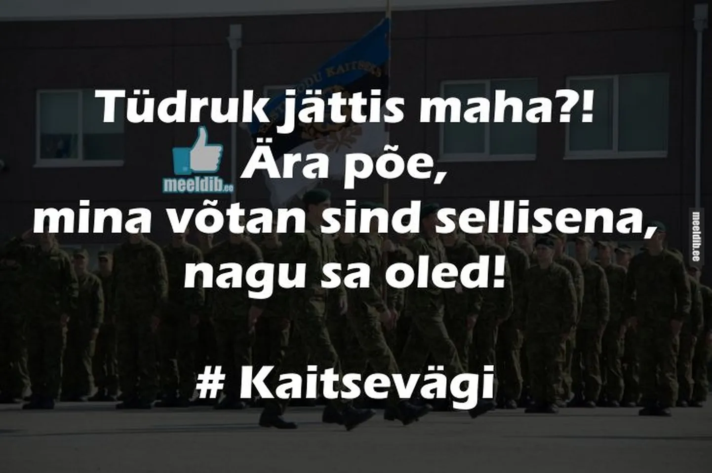 Artikli foto