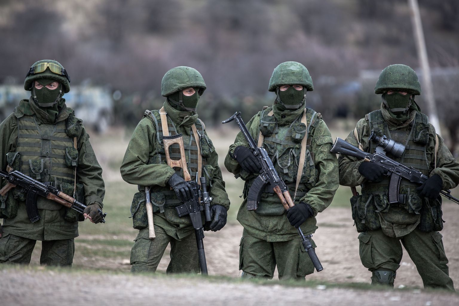 Nn rohelised mehikesed Krimmis 2014. aastal