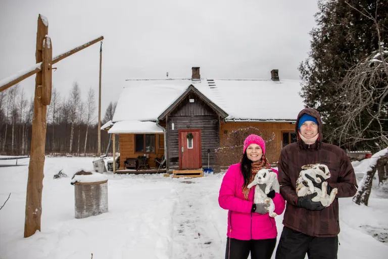 “Esimese jänese sain Sindist vanaemalt, kelle lapselast see loom enam ei huvitanud,” räägib Tammiku talu perenaine Birgit Ojamets, kelle abikaasa Aldo Ojamets hoiab süles sametise kasukaga lontkõrva.