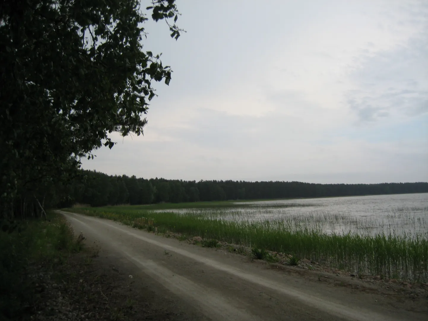 Фото статьи