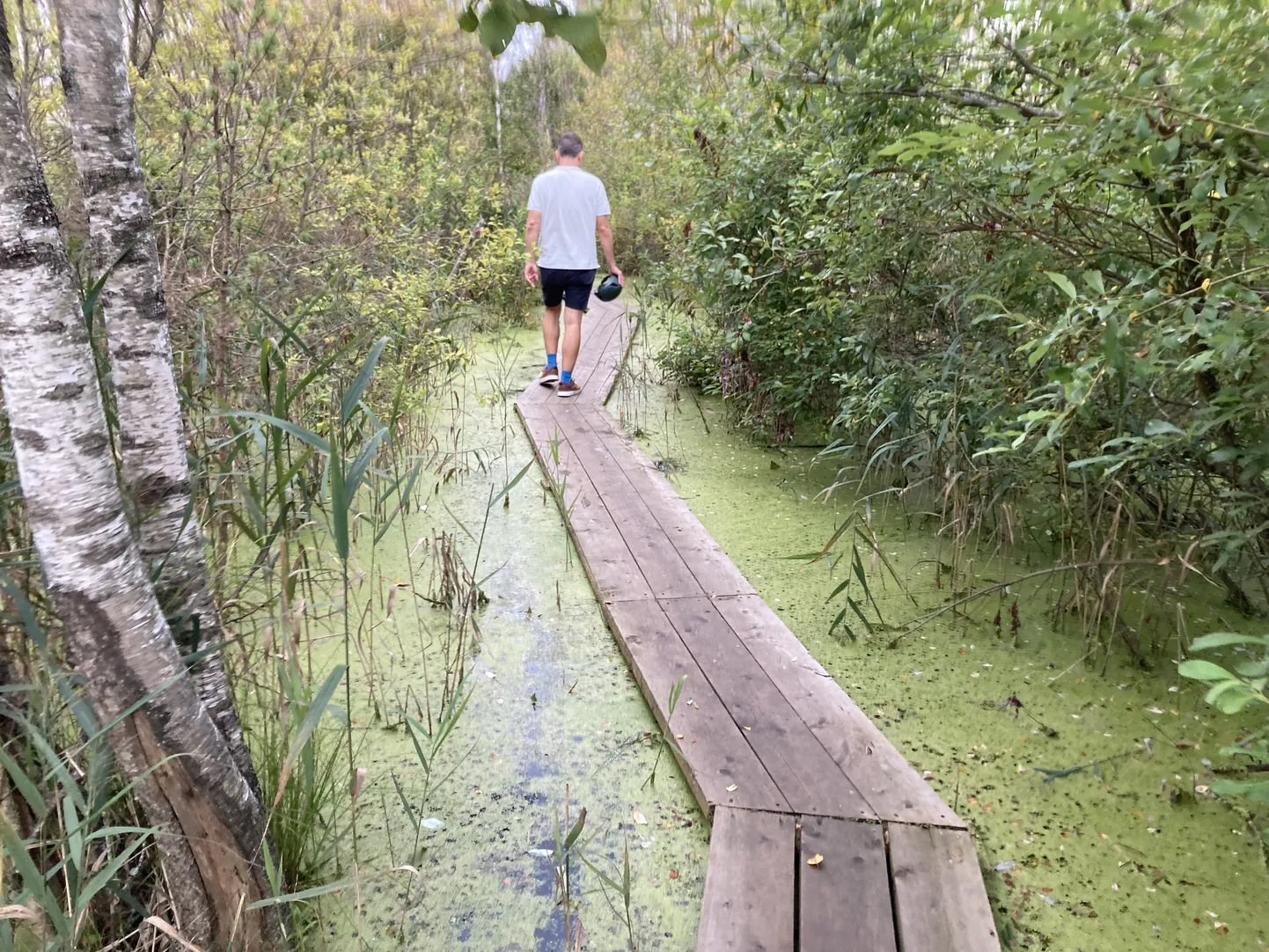 Mööda seda laudteed saab kuiva jalaga liikuda, aga väikeste lastega võib siin üsna ebamugav olla.