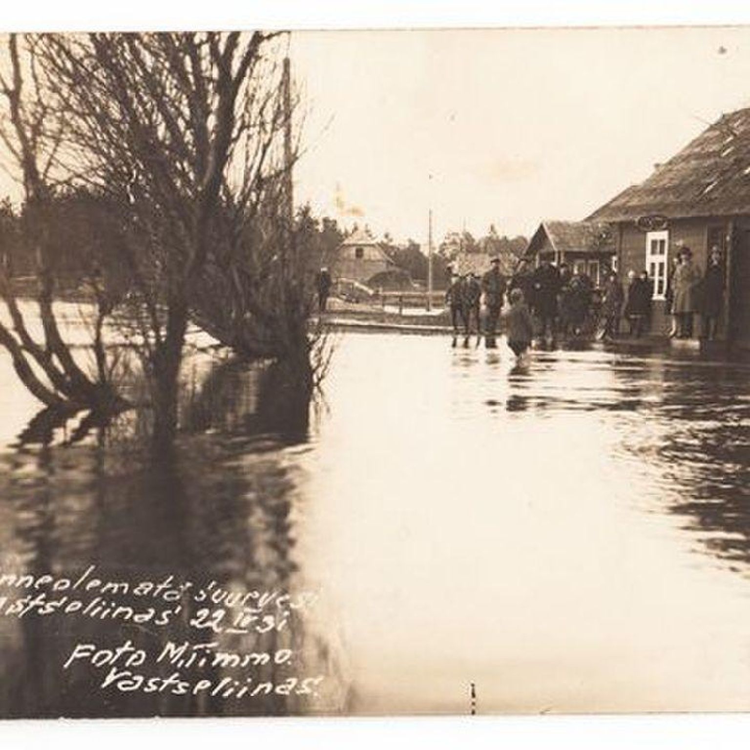 Pilt sedapuhku Lõuna-Eestist. Dateeritud 22. aprilliga 1931 ja kirjas, et enneolematu üleujutus Vastseliinas.