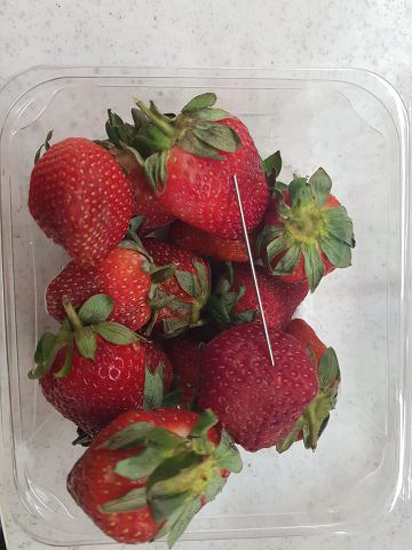 Gladstone´ist osatetud maasikate vahelt leitud nõel.