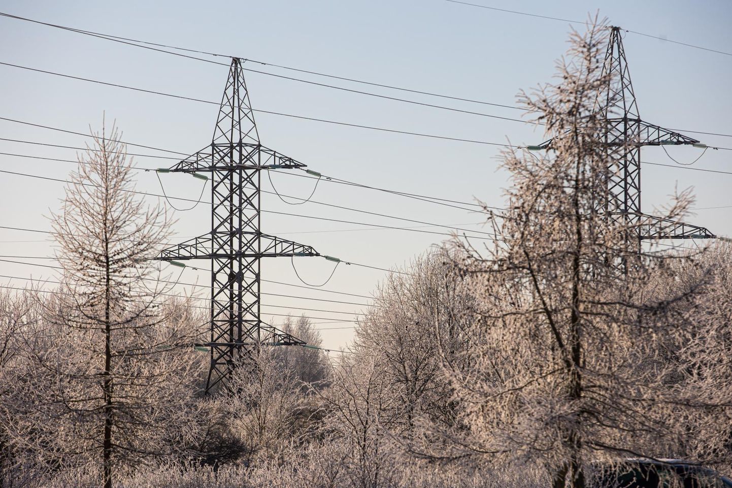 Jaanuari elektriarved tõotavad tulla mõistlikumad.