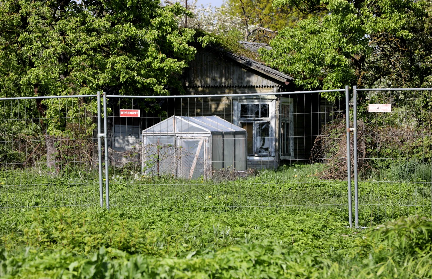 Žogs ap Skanstes mazdārziņu teritoriju, kur tiek īstenots projekts "Skanstes teritorijas revitalizācijas 1. kārta".