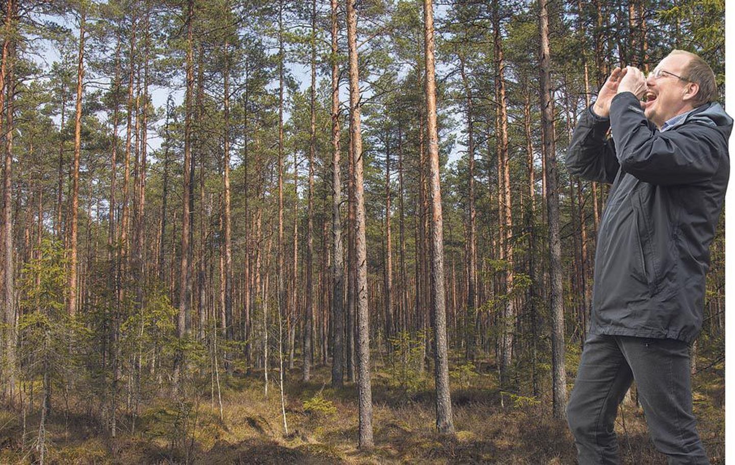 Zooloog Uudo Timm ütleb, et soovitus metsa minna ja seal end tühjaks karjuda pole loodustundlikule inimesele meelepärane.