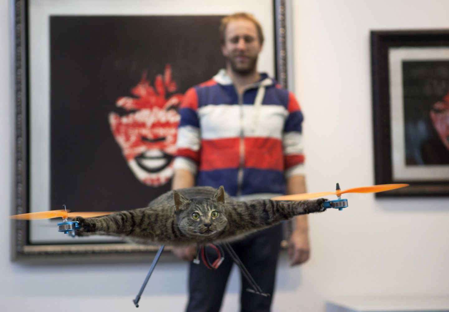 Барт Янсен со своим котом-вертолетом