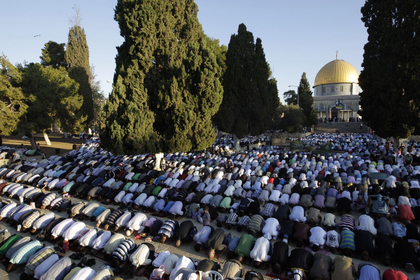 Islamiusulised täna Jeruusalemmas Templimäel palvetamas.
