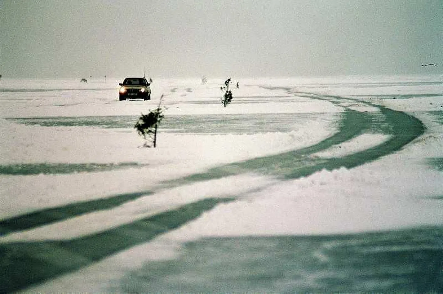 Artikli foto