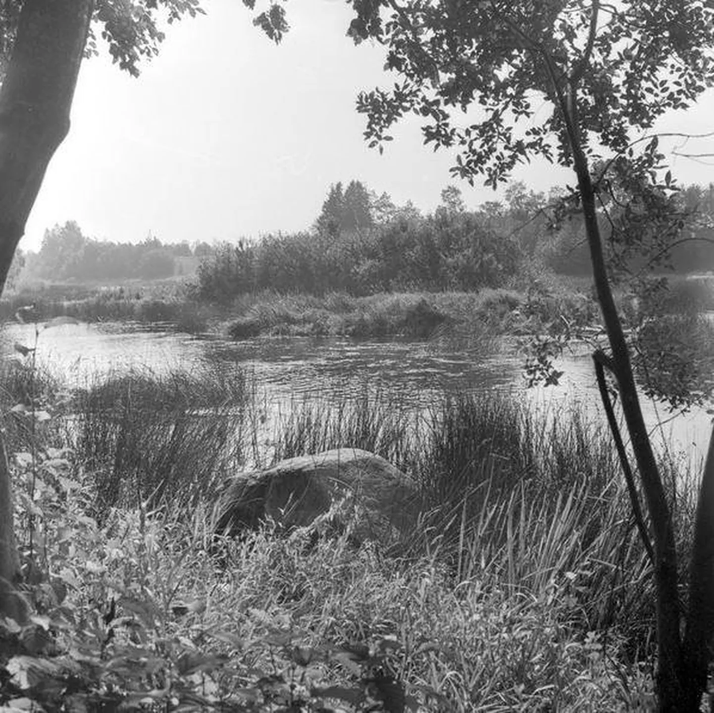 Hiiesaar Pärnu jões, 1976.