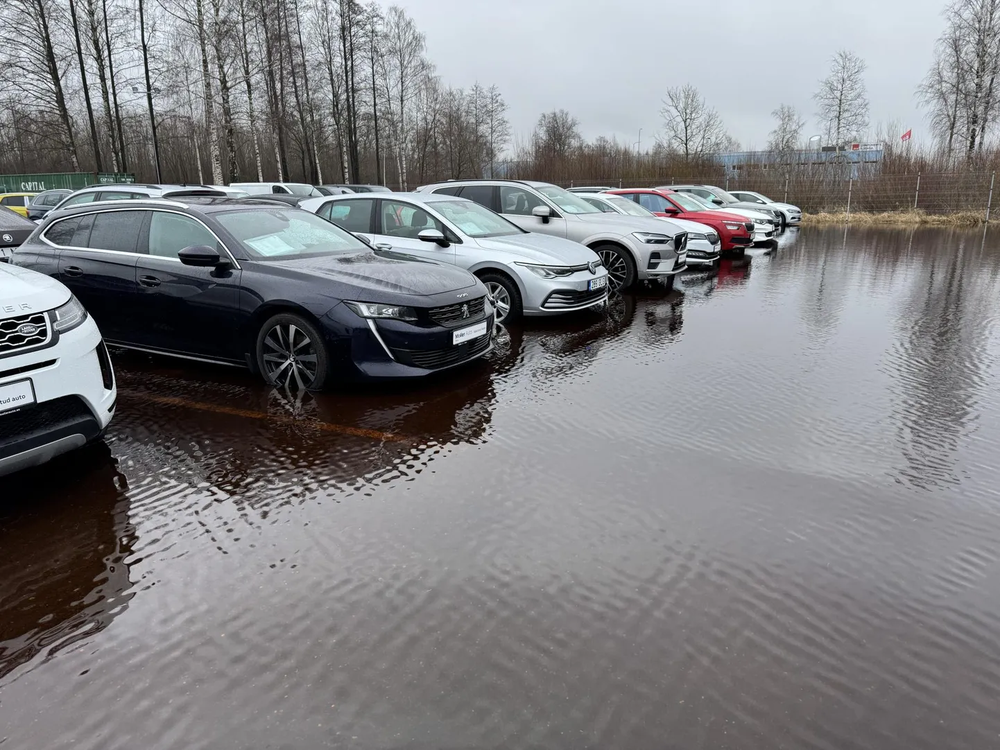 Kogu kasutatud autode müügiplats oli mitu nädalat vee all.
