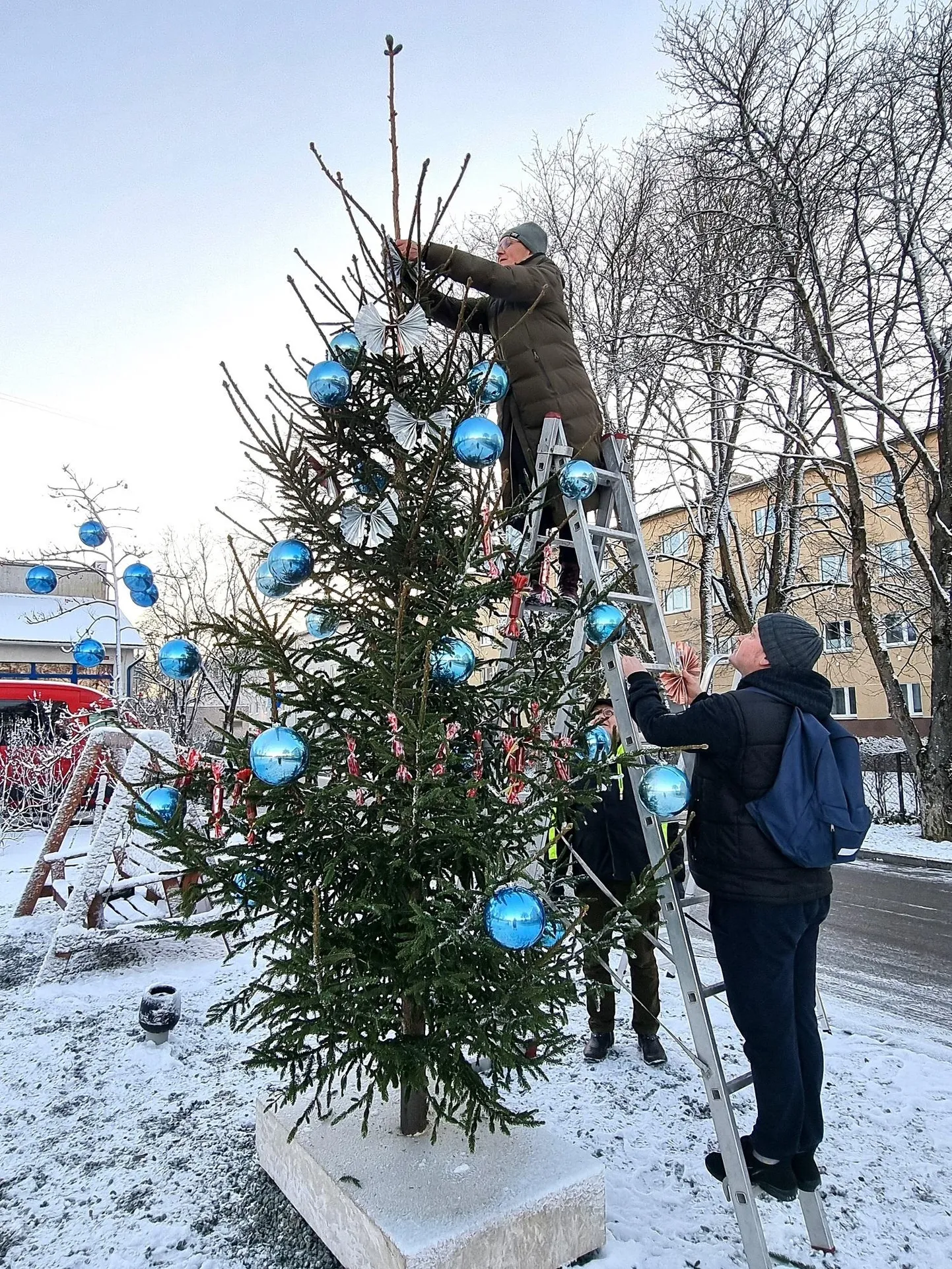 Rakvere sotsiaalkeskuse esist ehivad vahvad jõulupuud.